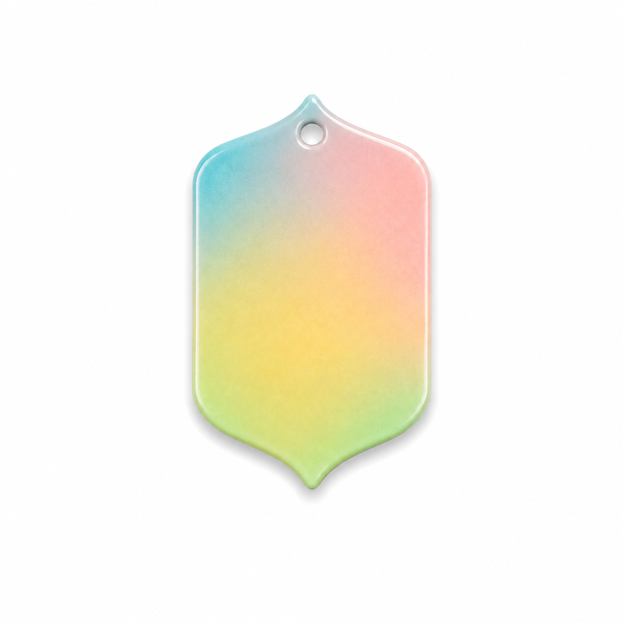 Hondentag rainbow shape XL