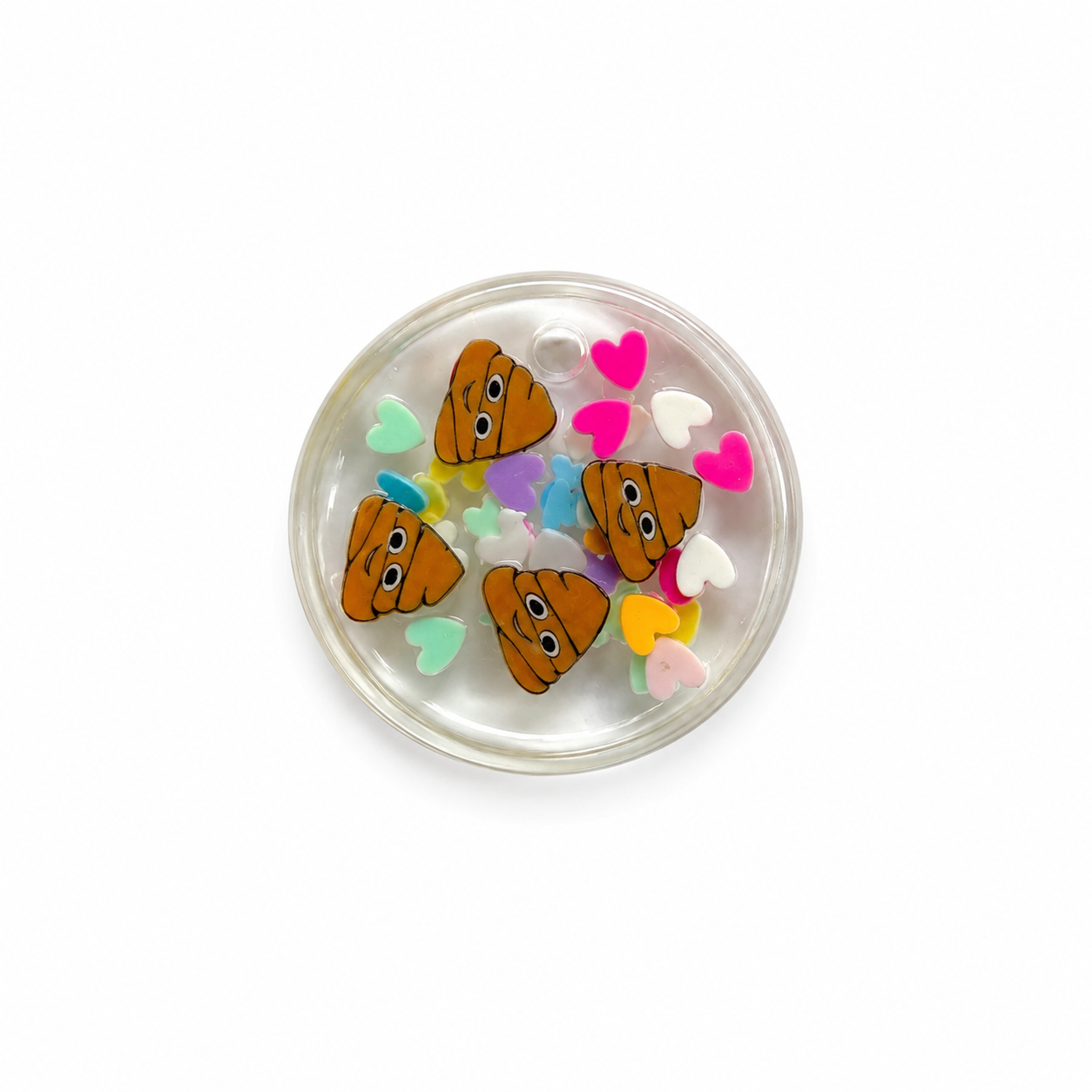 Hondentag rainbow shit rond