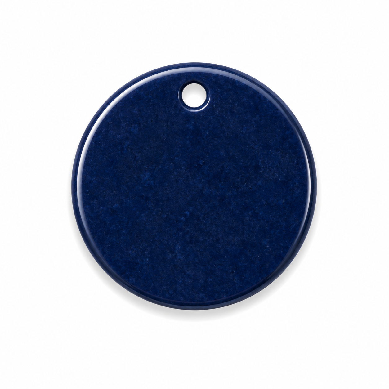 Hondentag dark blue rond
