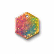 Hondentag glitters carnaval Hexagon