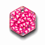 Hondentag roze hartjes Hexagon
