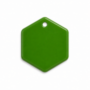 Hondentag Metellic groen Hexagon