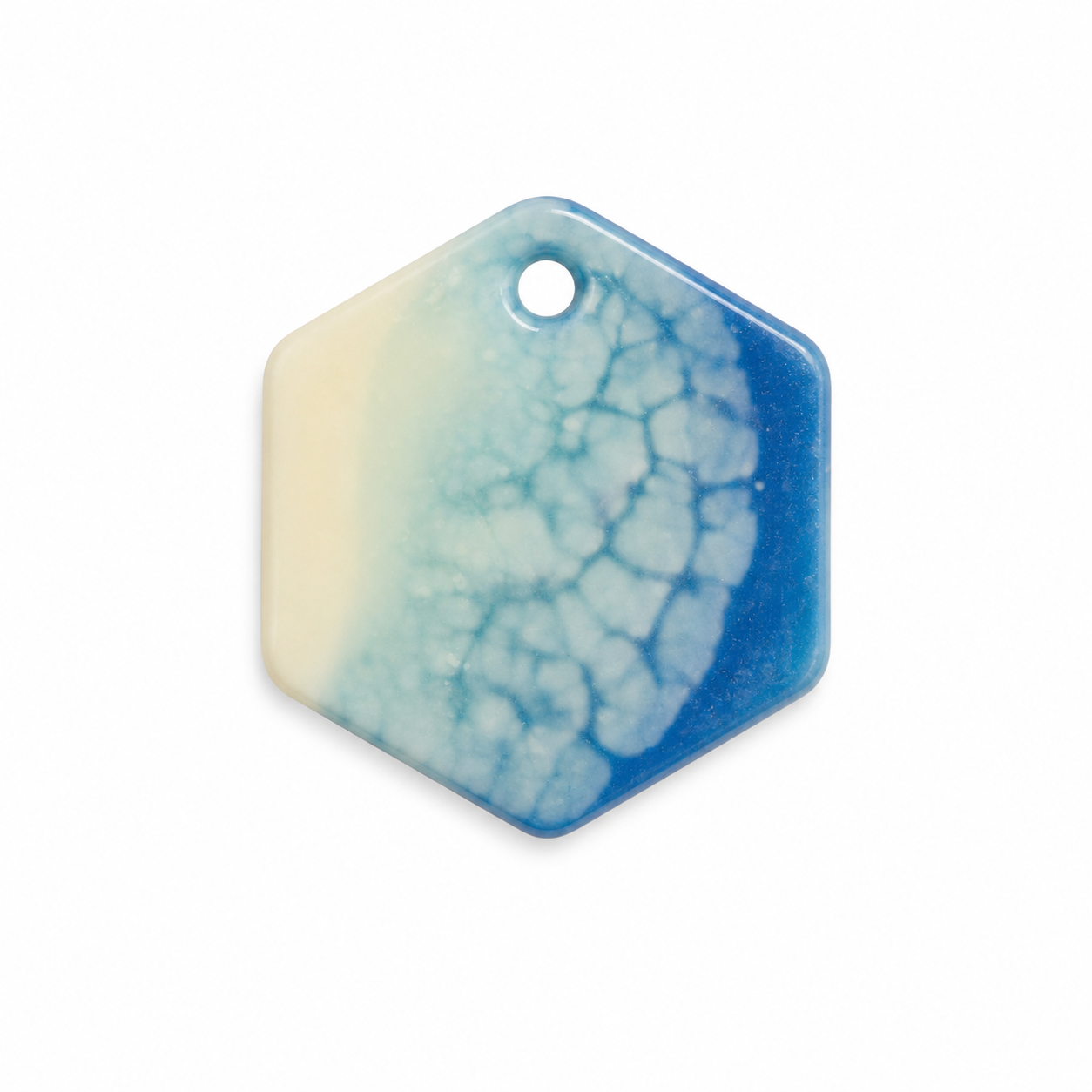 Hondentag Blauw wit Hexagon