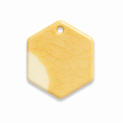 Hondentag wit geel Hexagon