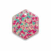 Hondentag pareltjes Hexagon
