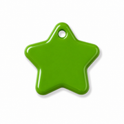 Hondentag groen Ster