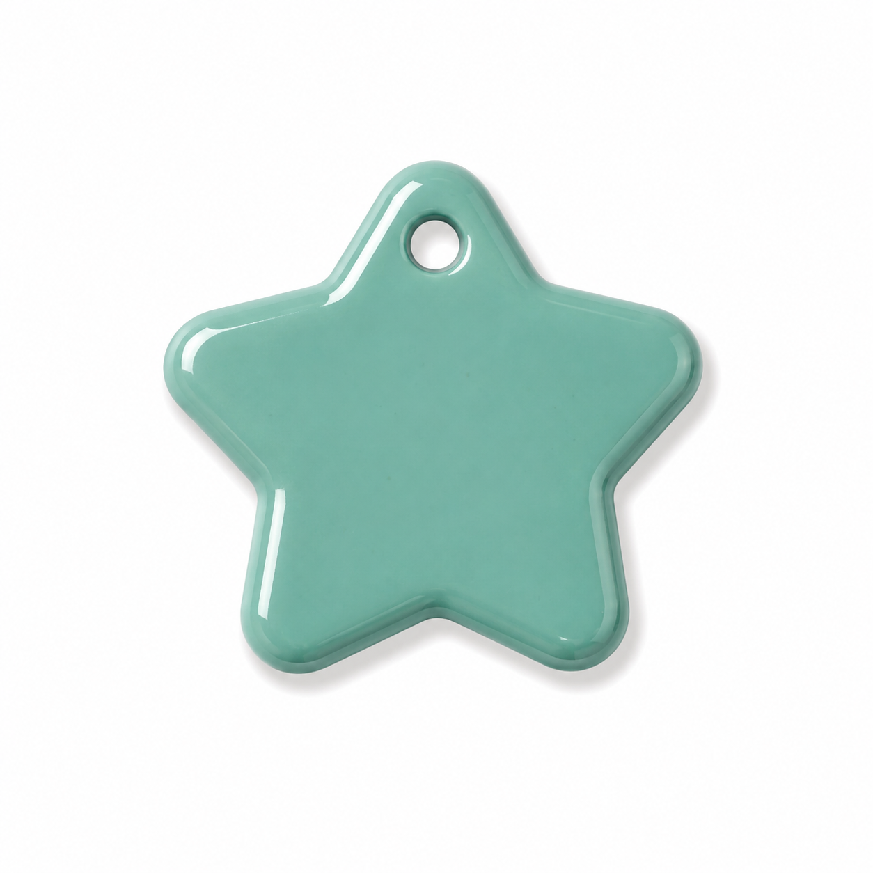 Hondentag turquoise Ster