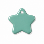 Hondentag turquoise Ster