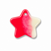 Hondentag wit roze Ster