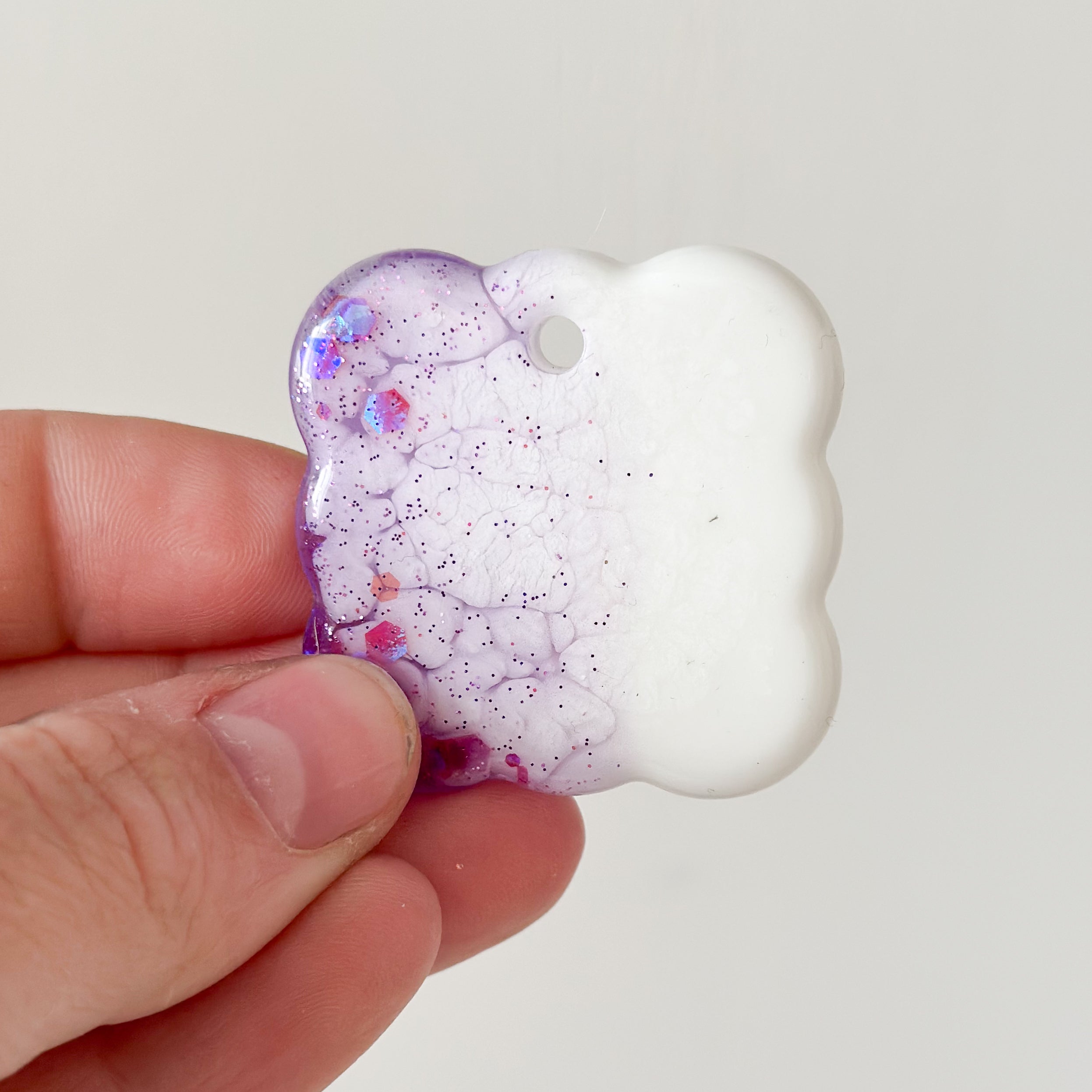 Hondentag wit en paars