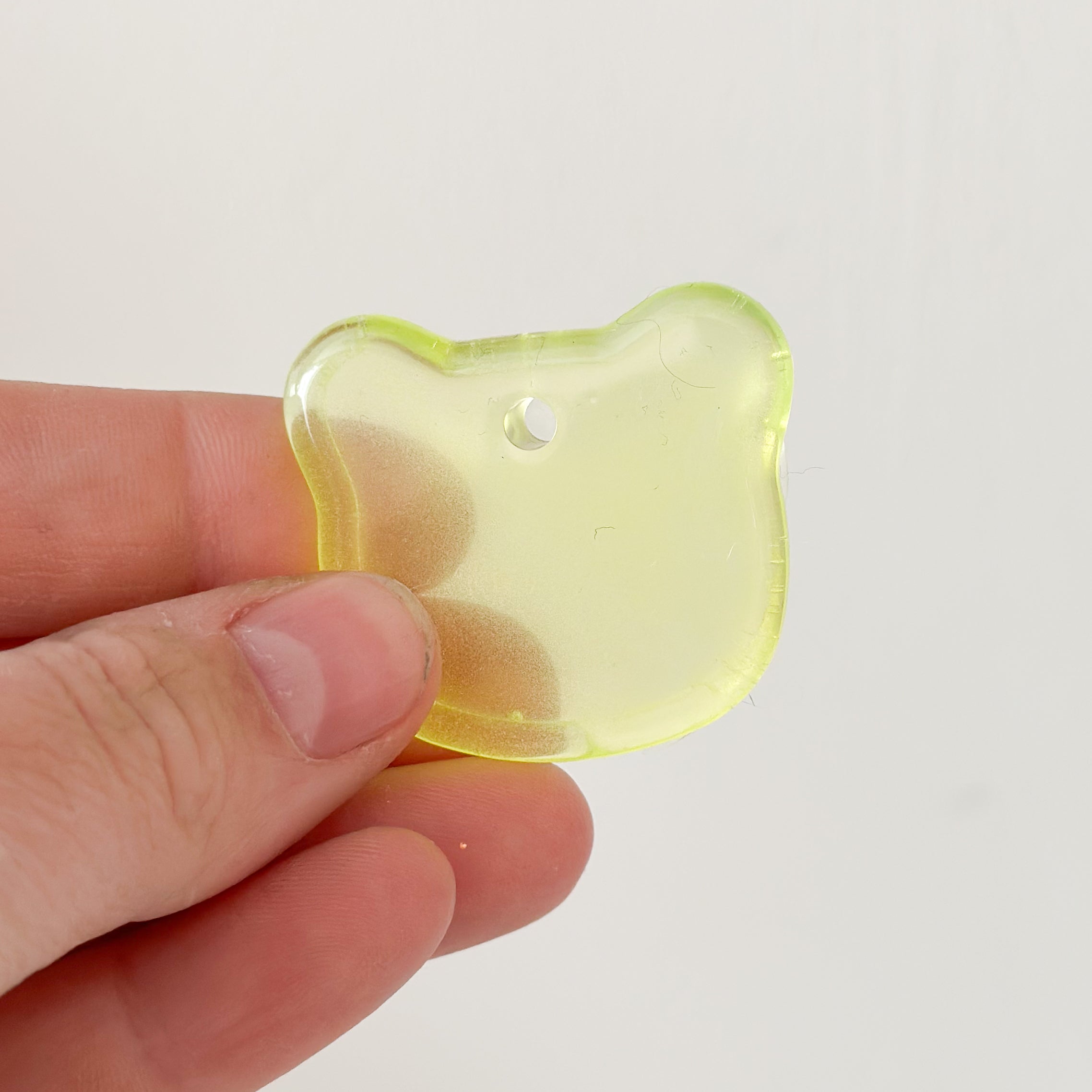 Hondentag Beertje glow in the dark