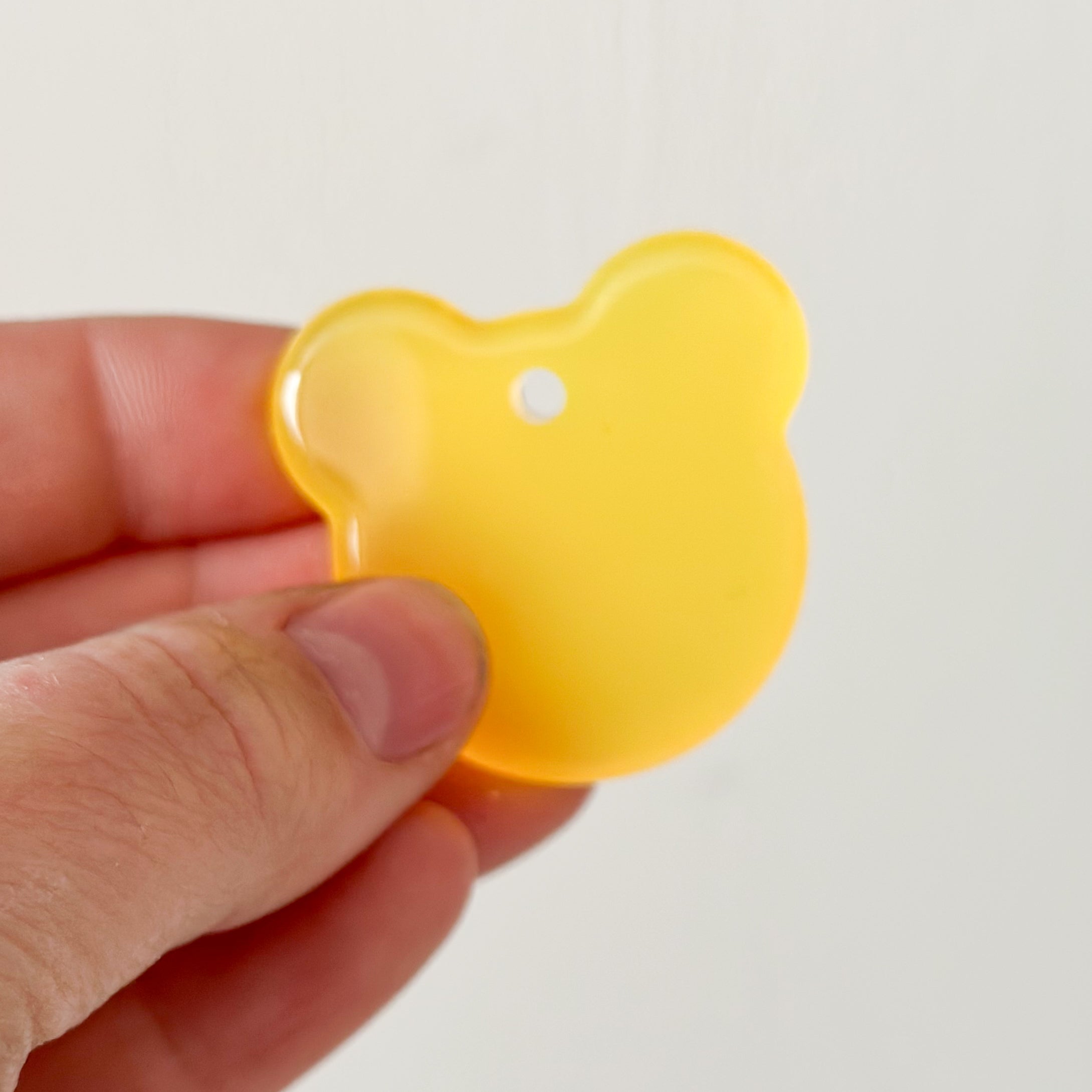 Hondentag Beertje glow in the dark